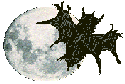 Logo: The Midnight Moonrat